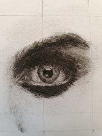 Eye