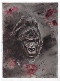 Gorilla